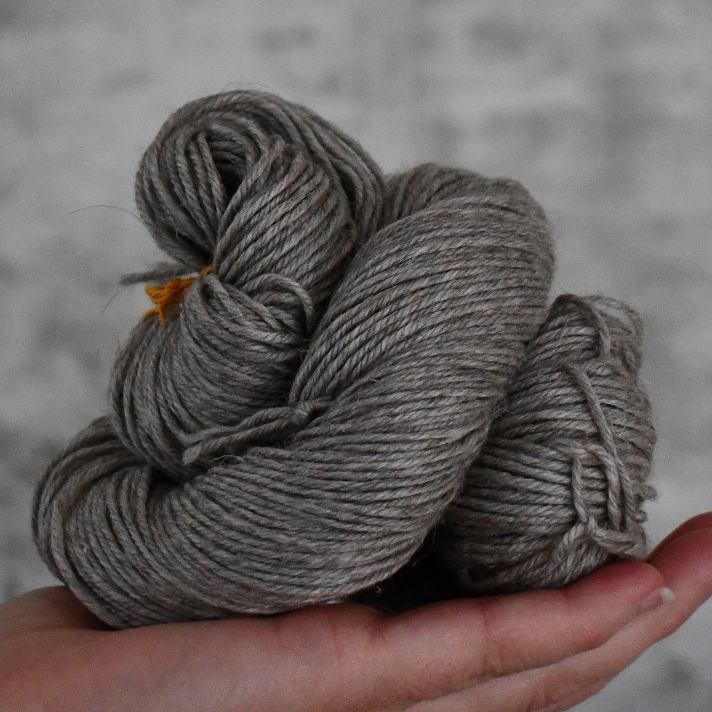 Type 49253 - Egyptian Yak DK