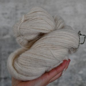 Special offer - Type 59107 - Cavea - 8 x 100g