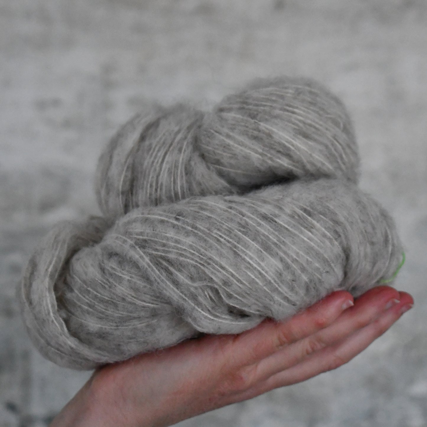 Mollis Gris